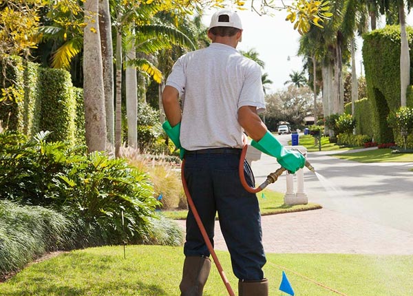 About Vandiver AL Pest Control Pros